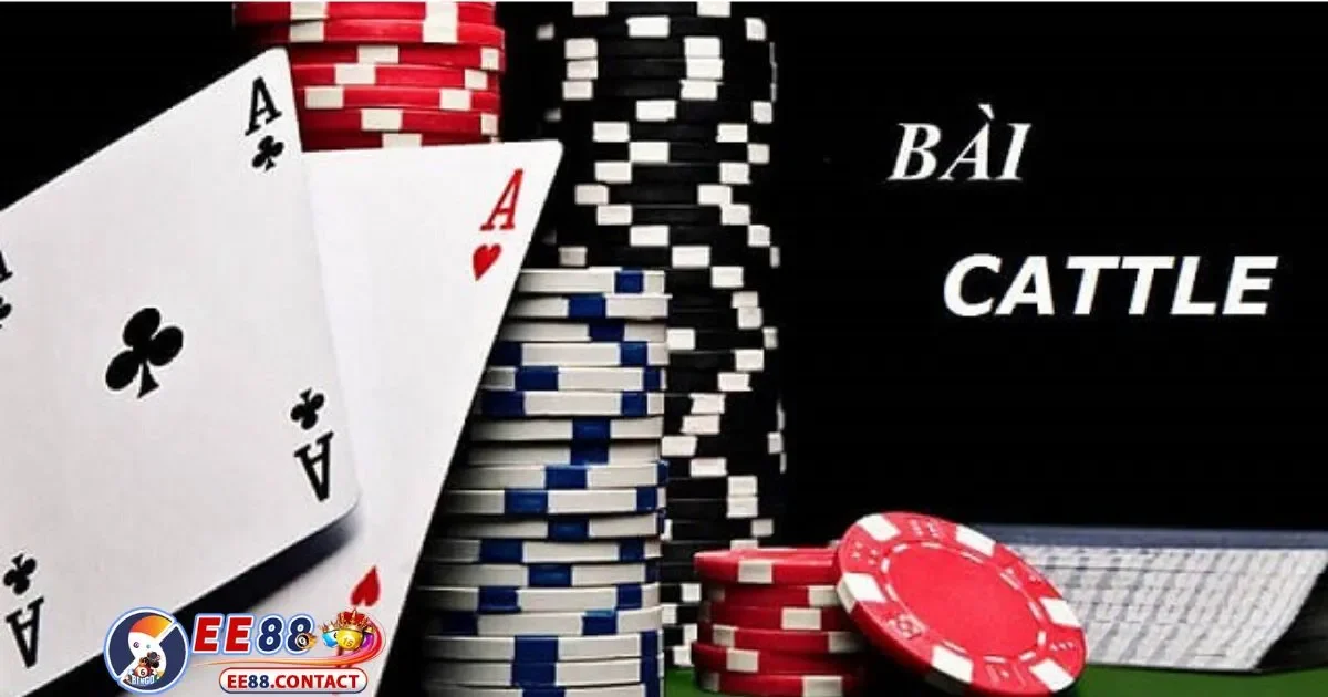 Hướng Dẫn Chọn Lối Chơi Catte Phù Hợp Với Mỗi Tình Huống