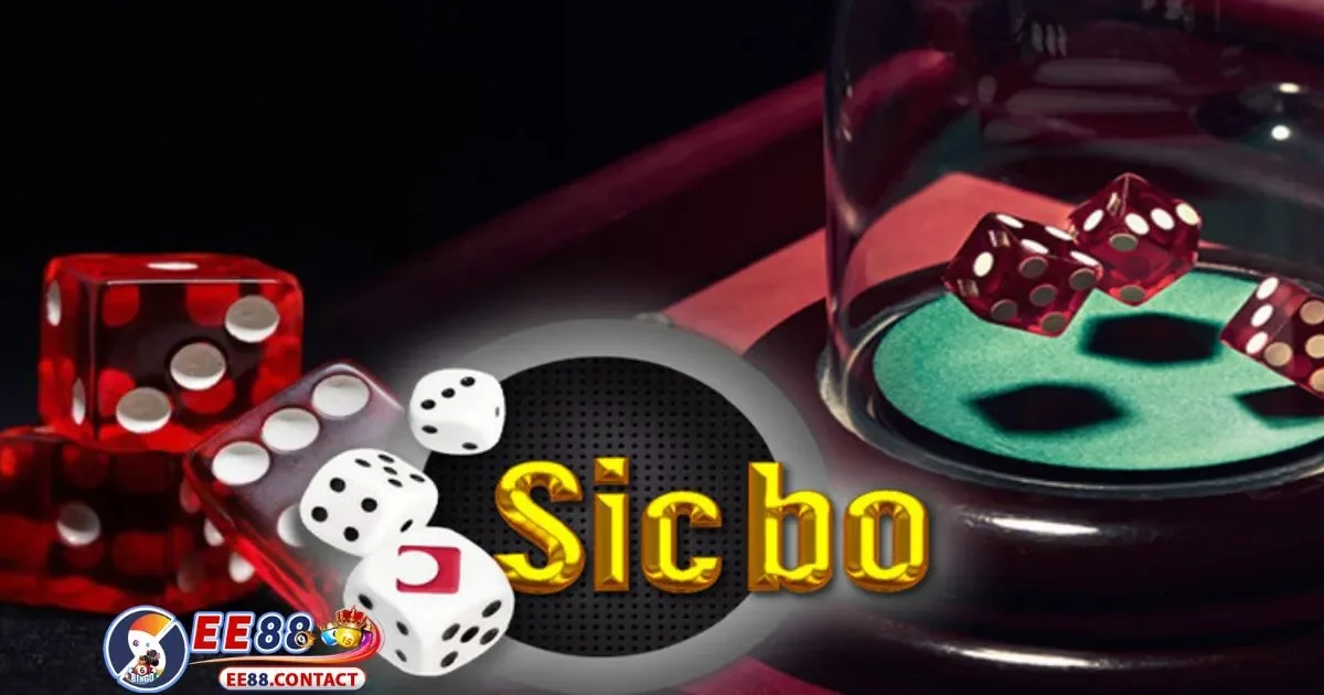 Bí Quyết Đặt Cược Sicbo Tại EE88 Để Tối Đa Hóa Lợi Nhuận