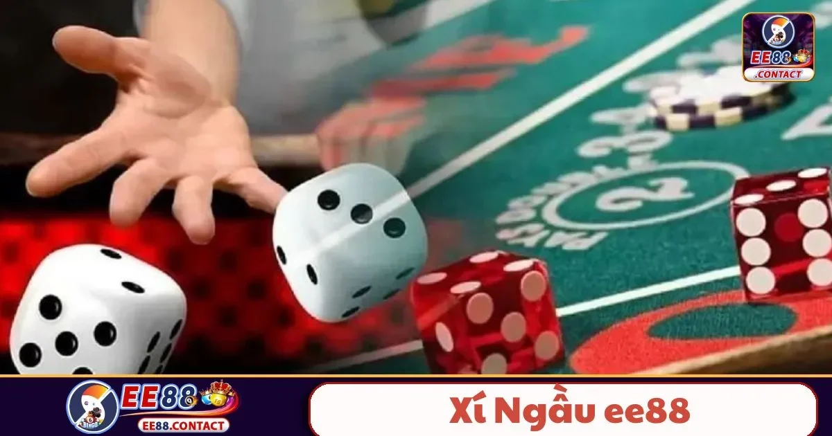 Xí Ngầu EE88 – Trò Chơi Tinh Thần May Mắn 2 Xí Ngầu EE88 Là Gì? Tìm Hiểu Quy Tắc Cơ Bản