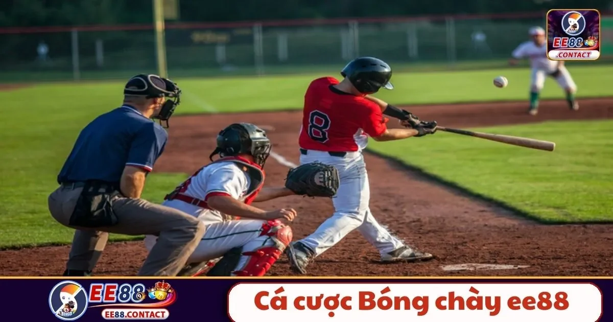 Cá Cược Bóng Chày EE88: Hướng Dẫn Chơi Và Phân Tích