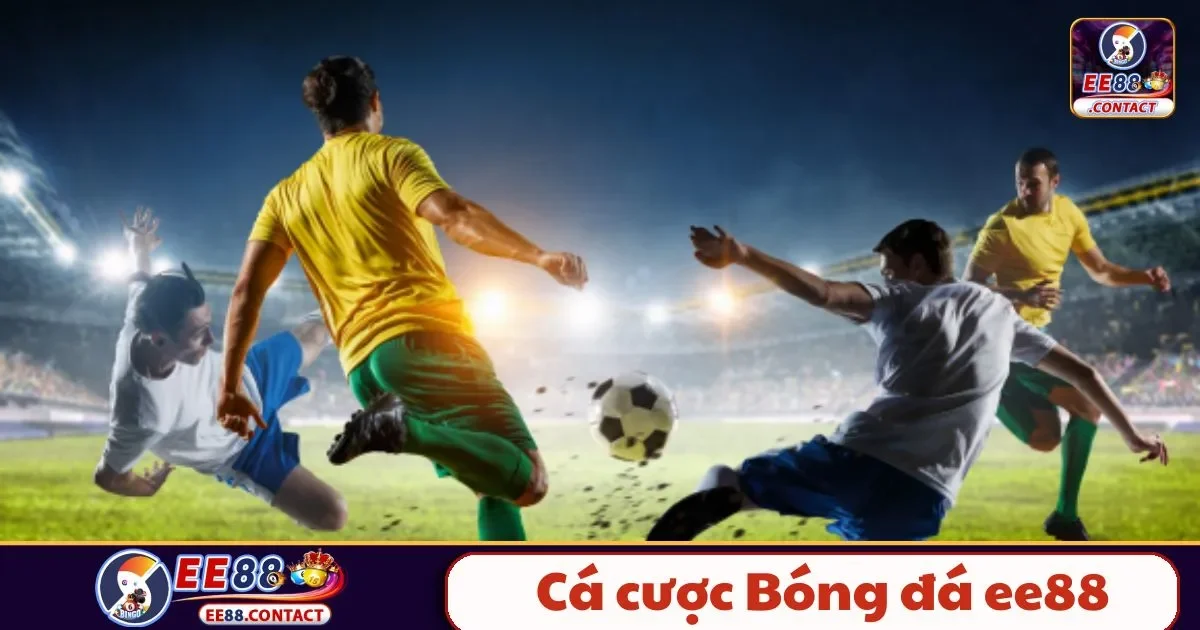 Cá cược bóng đá EE88 là gì? Cách chơi và cách đọc kèo chính xác