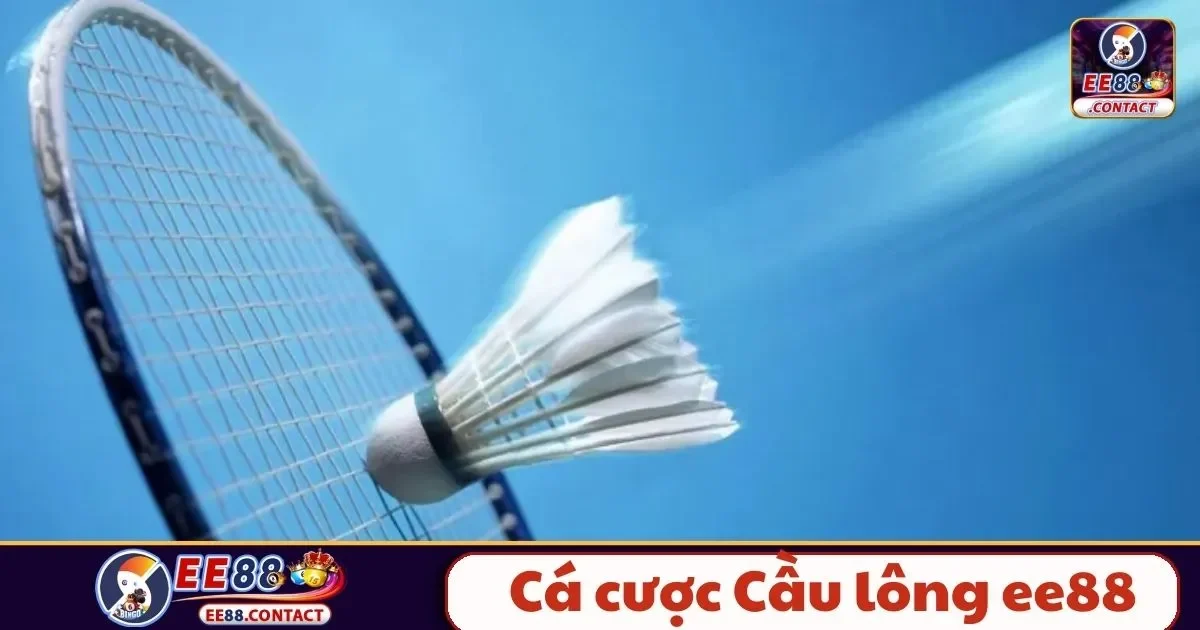 Cá Cược Cầu Lông EE88 – Hướng Dẫn Đọc Kèo Và Cách Chơi 2 Cá cược cầu lông EE88 là gì? Tổng quan về cách chơi và luật cược