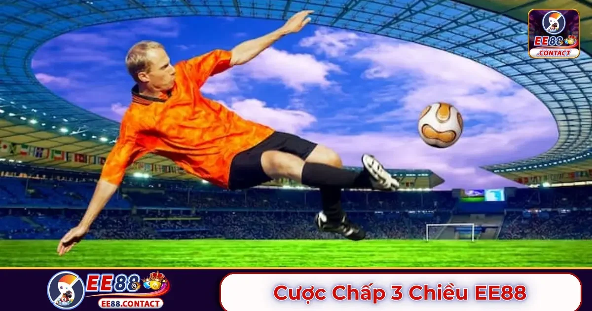 Cược chấp 3 chiều EE88 là gì? Cách tính tỷ lệ cược chuẩn