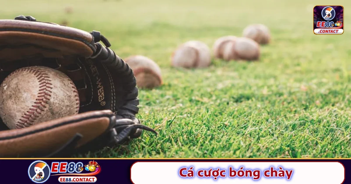 Cá Cược Bóng Chày Tại EE88 – Kèo Độc Lạ, Dễ “Về Tiền Lớn”