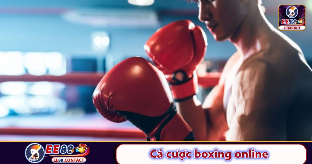 Cách Cá Cược Boxing Online Tại EE88 Cho Người Mới Bắt Đầu