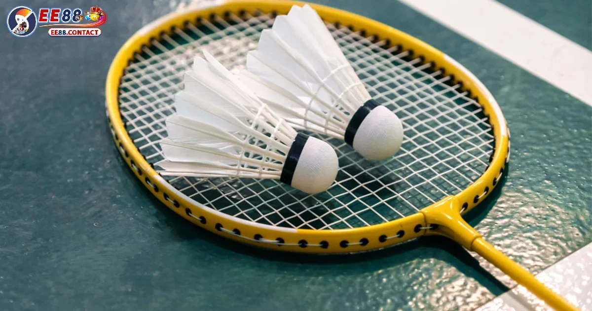 Cá Cược Cầu Lông EE88: Môn Thể Thao Ít Rủi Ro, Dễ Kiếm Lời 3 Nghiên cứu lịch sử đối đầu và thành tích từ các trận đấu trước đó