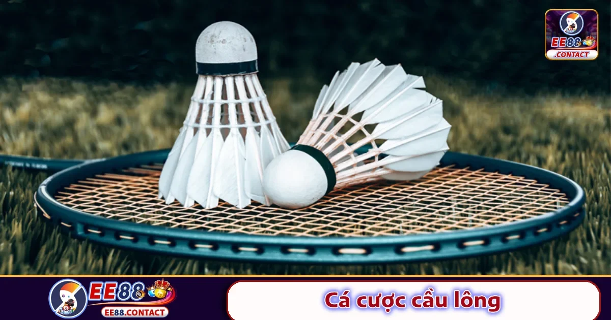 Cá Cược Cầu Lông EE88: Môn Thể Thao Ít Rủi Ro, Dễ Kiếm Lời