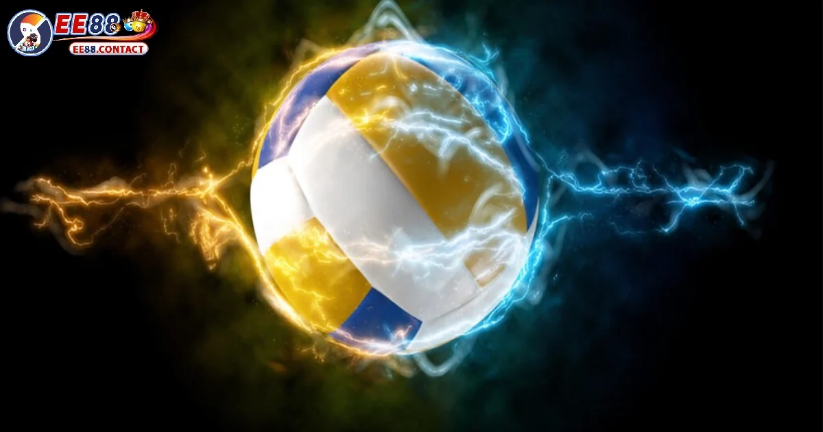 Tham khảo cách cá cược bóng chuyền cơ bản nhất