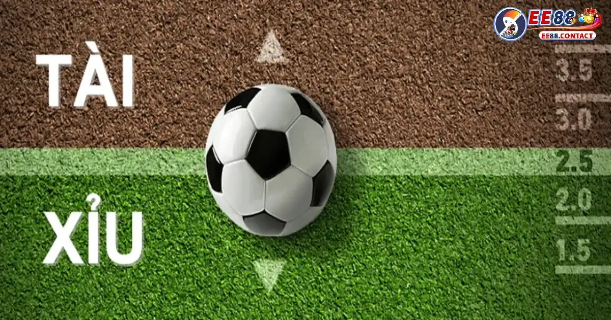 Khám phá cách chơi tài xỉu trong bóng đá cơ bản nhất